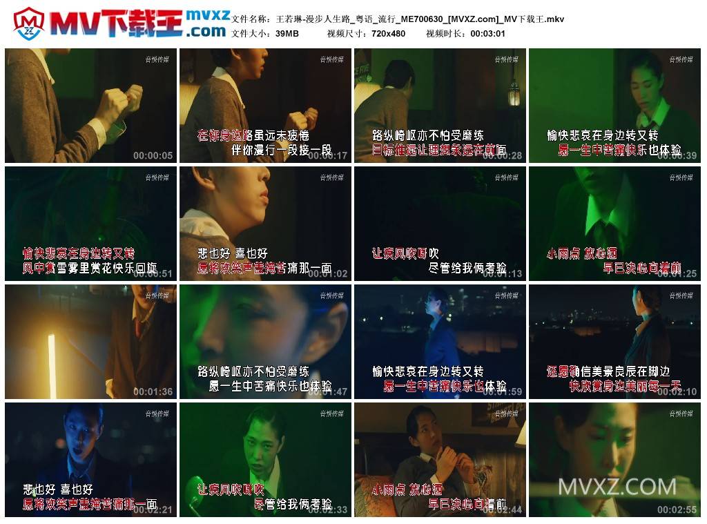 王若琳-漫步人生路_粤语_流行_ME700630